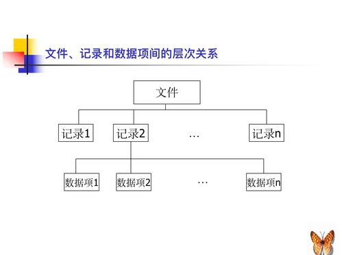 計(jì)算機(jī)系統(tǒng)之文件系統(tǒng) 計(jì)算機(jī)系統(tǒng)集成服務(wù)的關(guān)鍵基石