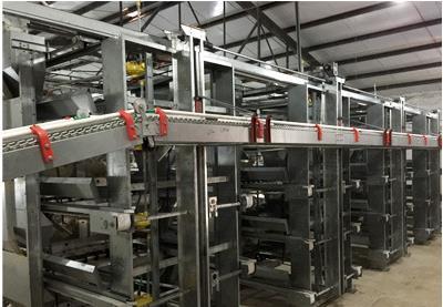 哪里有自動(dòng)撿蛋機(jī)廠商 讓撿蛋變得很容易